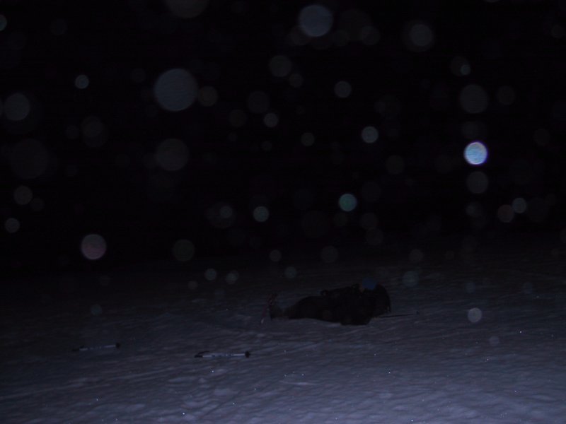 197-9704_IMG